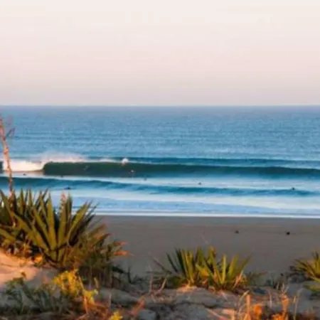 Nature Et Tranquillite Messanges (Landes)