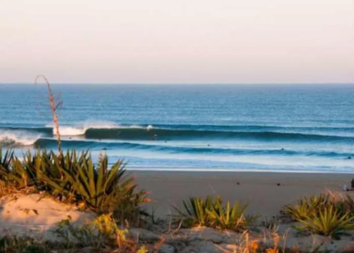 Nature Et Tranquillite Messanges (Landes)